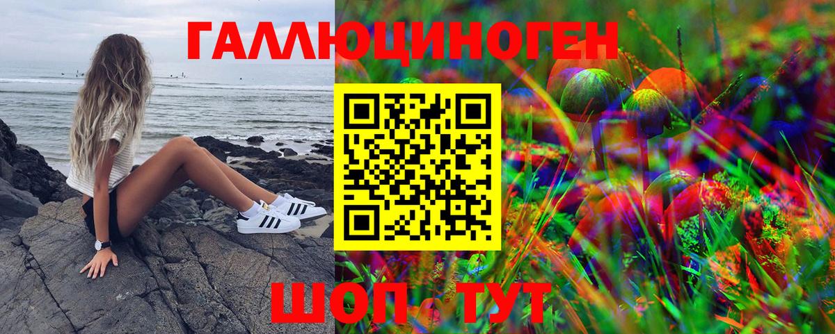 Псков  Галлюциногенные грибы Magic Shrooms  Вход с VPN 